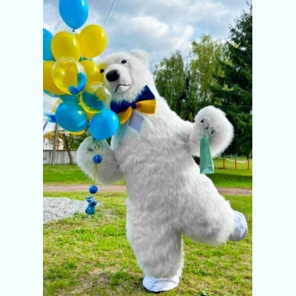    po   