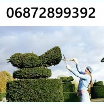    -    