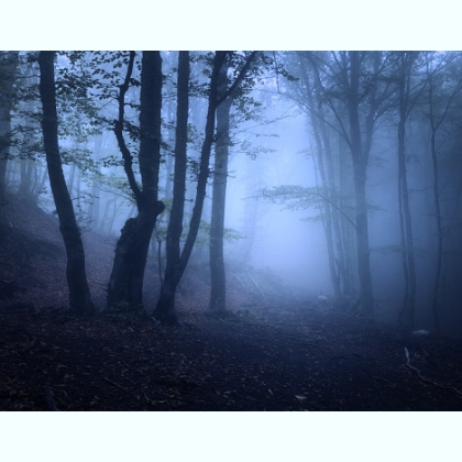 ����������� ������� ������� ����������� ������ ������ viber 0971291597