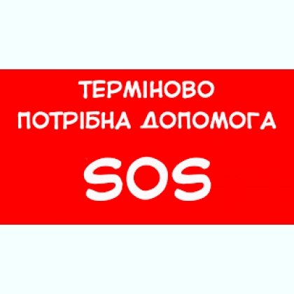 ����� �������� � ���� ����� � ����.����������.�����.����� �� ����� 